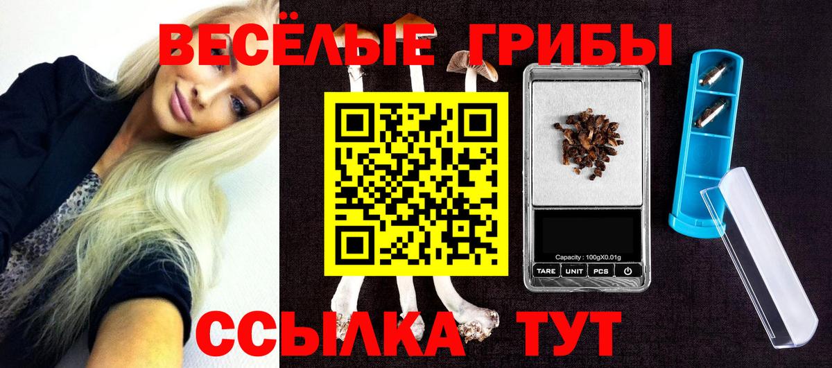 Боровичи  наркошоп  Вход с VPN  Псилоцибиновые грибы прущие грибы  Галлюциногенные грибы Psilocybine cubensis 